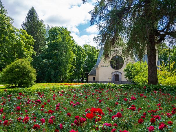  Центр Зеленогорска  